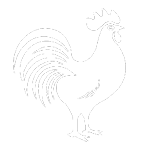 ĐÁ GÀ